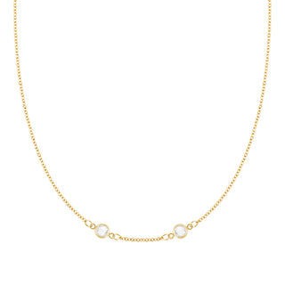 INSIDE NINA'S KLOSET Petite 2 Birthstone Necklace in 14K Gold (Centered)